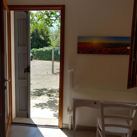 Casa Vacanze Cedro 萨韦纳河畔圣拉扎罗 外观 照片
